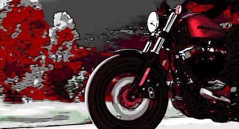 New Galfer colored Disc Wave® for Custom motorbikes