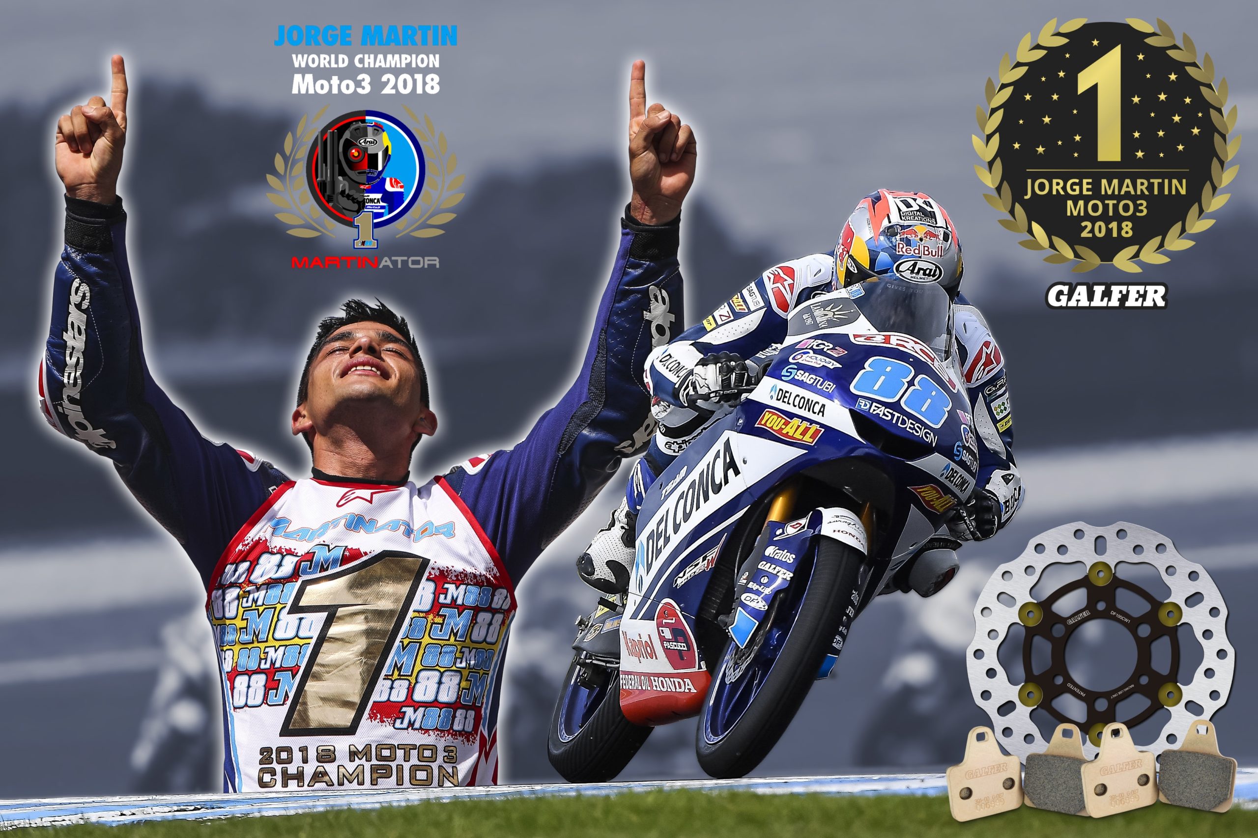 JORGE MARTIN CAMPEÓN DEL MUNDO DE MOTO3 2018 CON GALFER ...