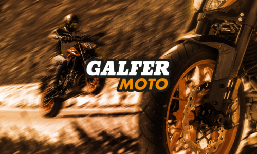 DF889W GALFER df889  W Disque de frein moto Industrias Galfer S.A